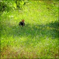 Thumbnail for version as of 08:55, 17 April 2013