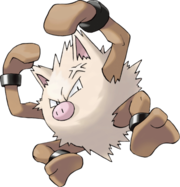 Colossinge.png