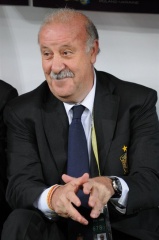 File:Vicente del Bosque.jpg