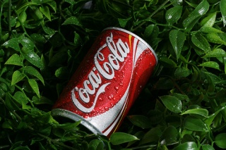 File:Canette de Coca-Cola-1066.jpg