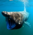 Thumbnail for version as of 09:17, 4 June 2012