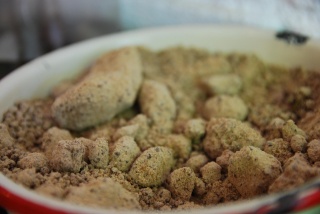File:Sucre canne.jpg