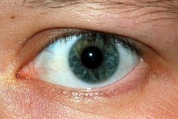 Yeux bon.jpg