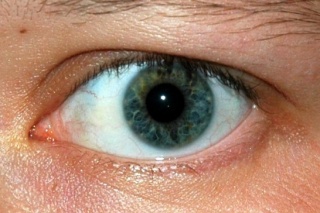 File:Yeux bon.jpg