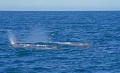 Thumbnail for version as of 15:15, 21 December 2010