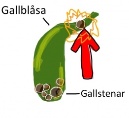 File:Galla.jpg