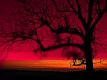 Thumbnail for version as of 14:28, 11 December 2010