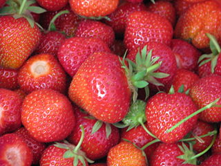 File:Fraise-3650.jpg
