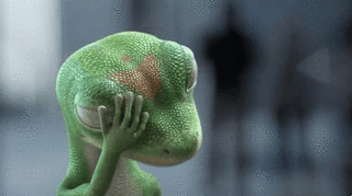 File:Gecko.gif