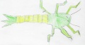Thumbnail for version as of 13:51, 15 December 2008