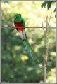 Thumbnail for version as of 19:34, 15 May 2014