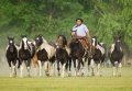 Thumbnail for version as of 10:13, 6 October 2012