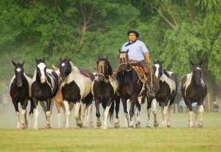 File:Cuentos de tobianos...-8089.jpg