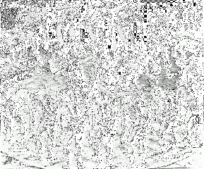 File:Tupinamba.gif