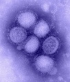 Thumbnail for version as of 13:40, 1 June 2013