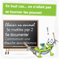 Bulle 4