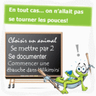 Bulle 4