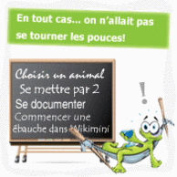 Bulle 4