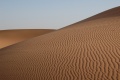 Thumbnail for version as of 19:50, 16 November 2008