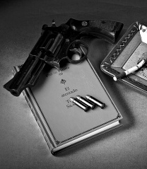 File:Arme88-8382.jpg