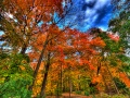 Thumbnail for version as of 16:21, 2 December 2011