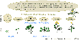 Thumbnail for version as of 14:01, 2 January 2013