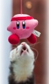 Thumbnail for version as of 18:09, 17 February 2011