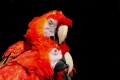 Thumbnail for version as of 16:17, 23 December 2011