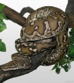 Thumbnail for version as of 12:22, 9 July 2012