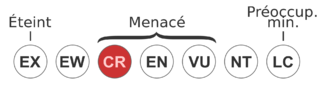 File:Status iucn3.1 CR-fr.svg.png