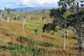 Thumbnail for version as of 12:10, 23 May 2014