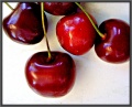 Thumbnail for version as of 18:25, 10 July 2010