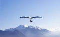 Thumbnail for version as of 15:01, 16 June 2014