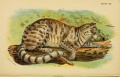 Thumbnail for version as of 20:22, 1 December 2012
