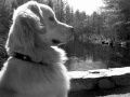 Thumbnail for version as of 20:54, 15 March 2011