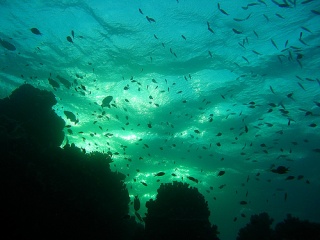 File:Oceans -2805.jpg