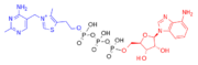 Adénosine triphosphate (1).png