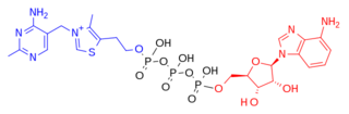 File:Adénosine triphosphate (1).png