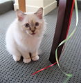 Thumbnail for version as of 19:09, 1 October 2008
