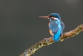 Thumbnail for version as of 14:32, 21 December 2010