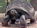 Thumbnail for version as of 08:04, 18 November 2012
