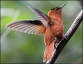 Thumbnail for version as of 11:04, 28 May 2013