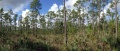 Thumbnail for version as of 15:32, 25 June 2014