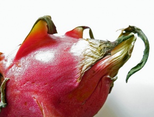 File:Fruit du dragon-54.jpg