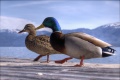 Thumbnail for version as of 18:53, 12 August 2013