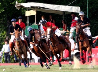 File:Polo (sport).jpeg