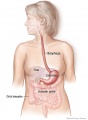 Thumbnail for version as of 18:19, 4 March 2011