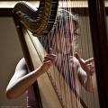 Thumbnail for version as of 12:07, 1 February 2012