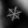 Thumbnail for version as of 22:55, 8 February 2012