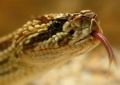 Thumbnail for version as of 10:38, 15 June 2011